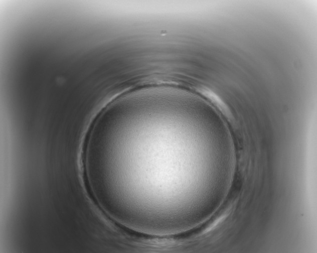 X0000089460893200706221303