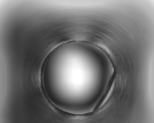 X0000089460894200706221303
