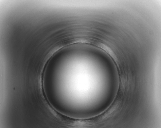 X0000089460898200706221303