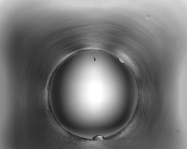 X0000089460900200706221303