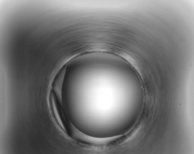X0000089460901200706221303