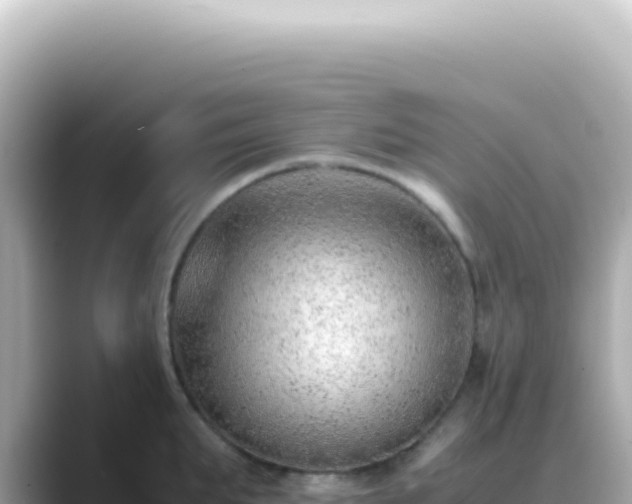 X0000089460903200706221303
