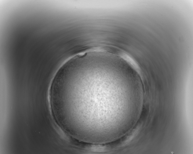 X0000089460907200706221303