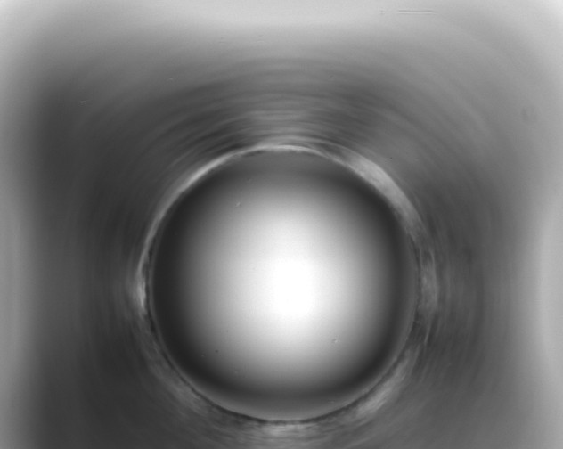 X0000089460908200706221303