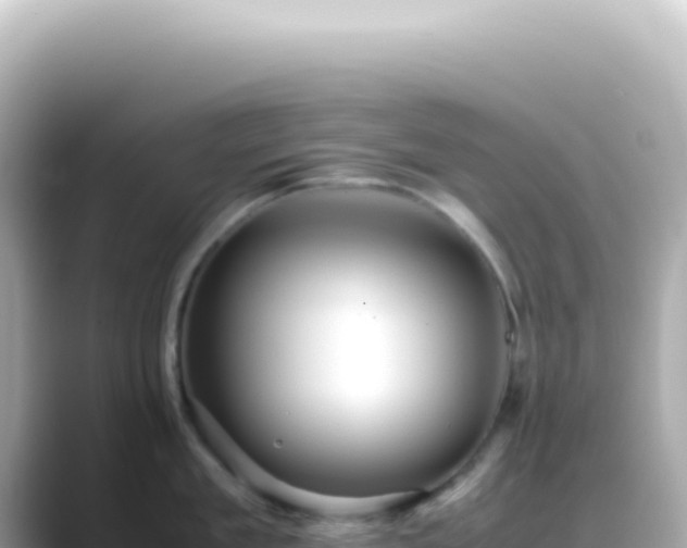 X0000089460909200706221303