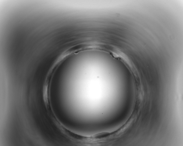 X0000089460910200706221303