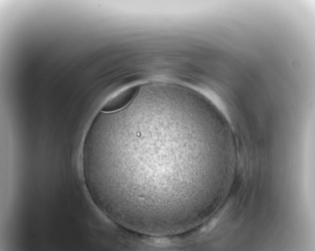 X0000089460911200706221303