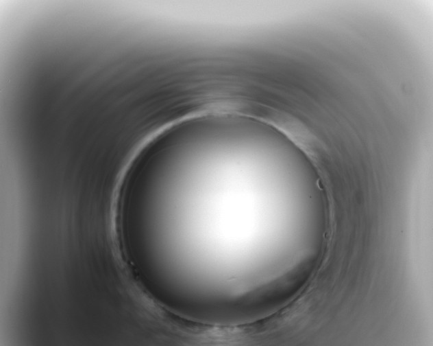 X0000089460912200706221303