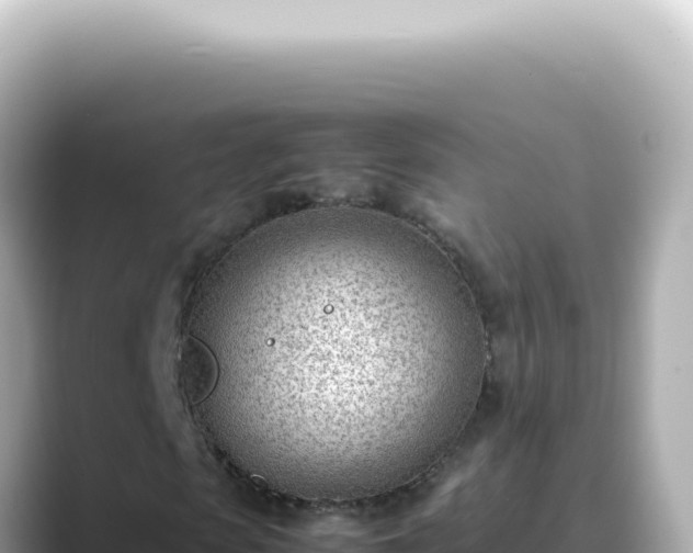 X0000089460913200706221302