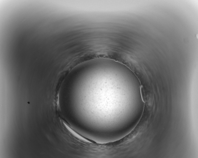 X0000089460916200706221302