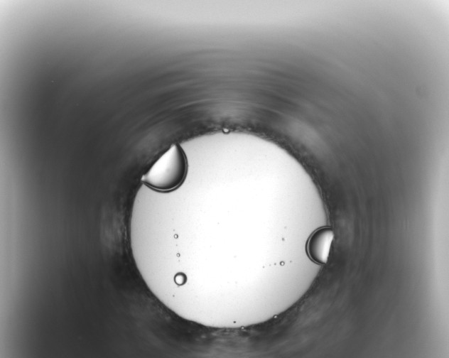 X0000089460918200706221302