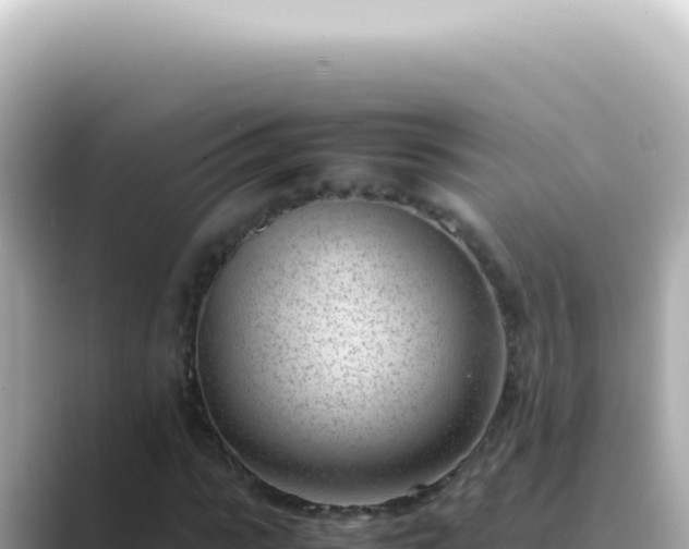 X0000089460919200706221302