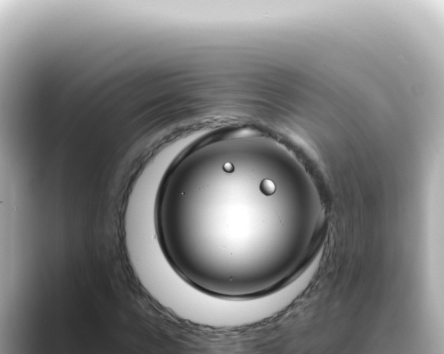 X0000089460920200706221302