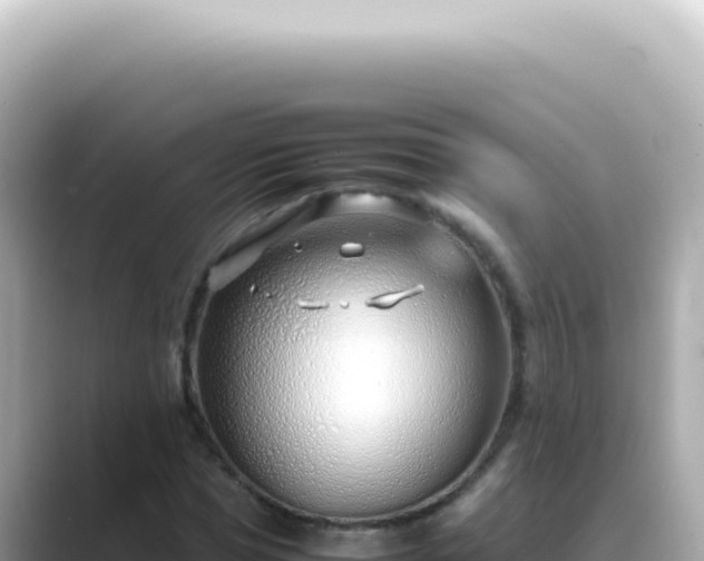 X0000089460921200706221302
