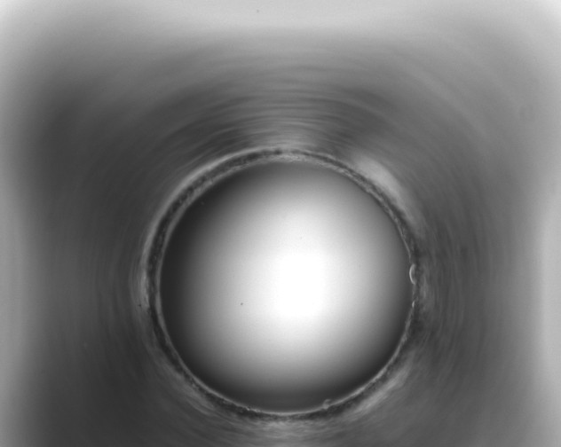X0000089460924200706221302