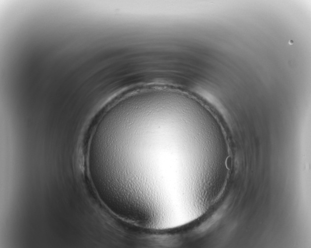 X0000089460925200706221302