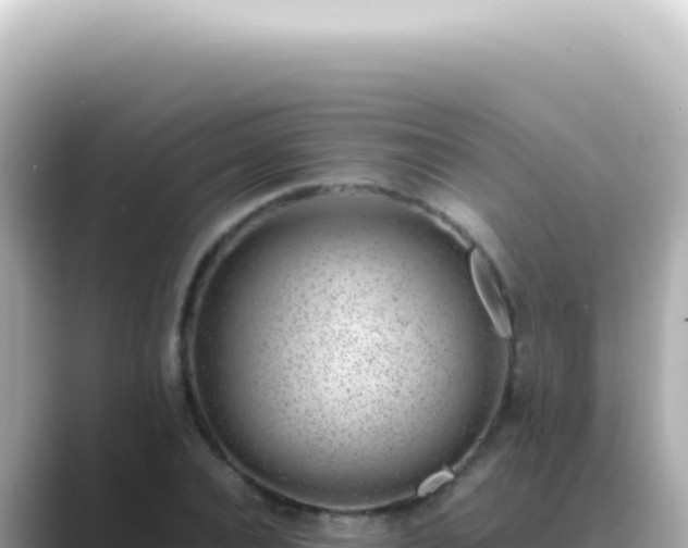 X0000089460928200706221302