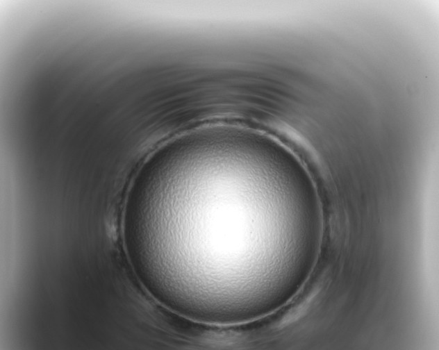 X0000089460929200706221302