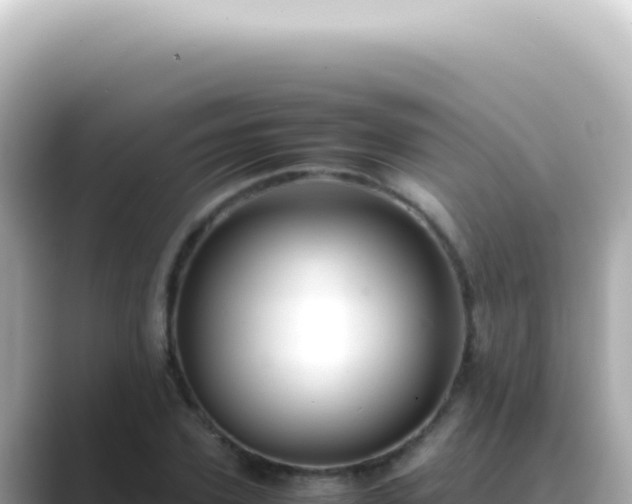 X0000089460931200706221302
