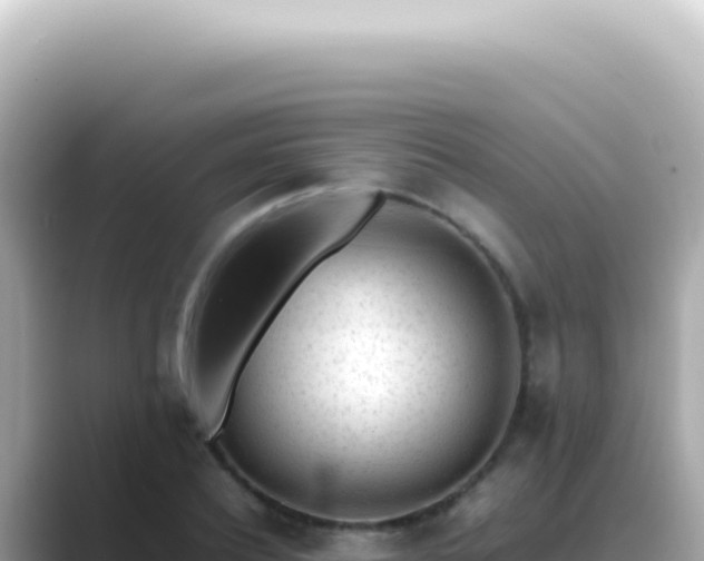 X0000089460932200706221302