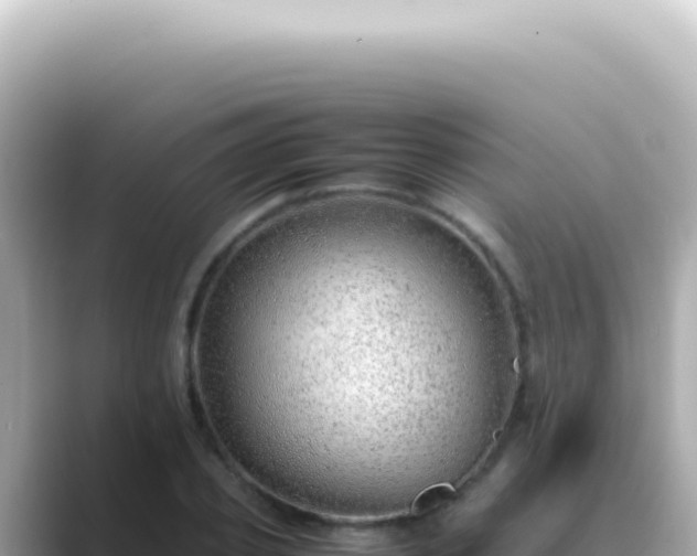 X0000089460933200706221302