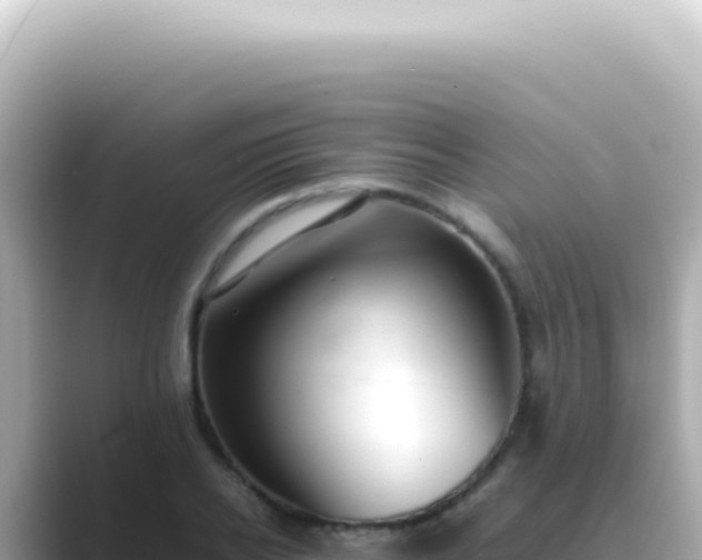 X0000089460934200706221302