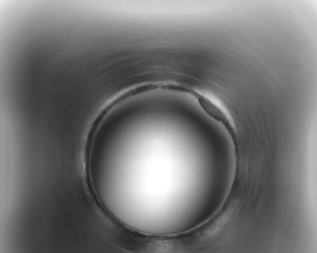X0000089460935200706221302