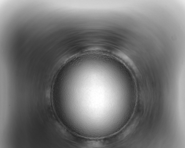 X0000089460937200706221302