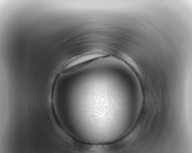 X0000089460938200706221302