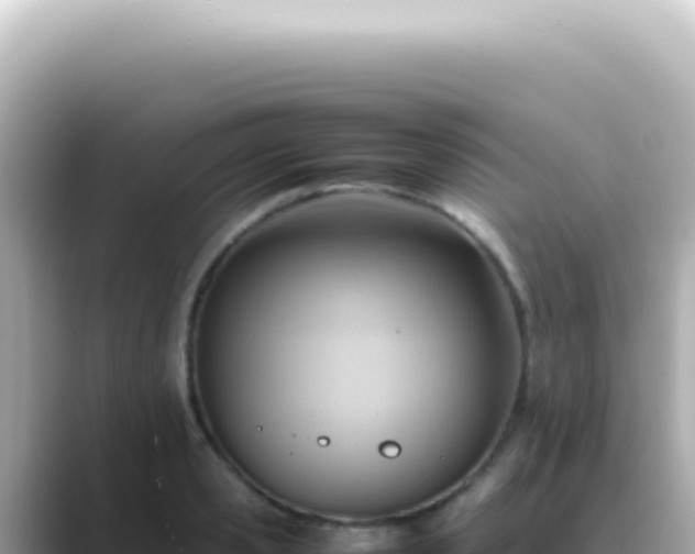 X0000089460941200706221302