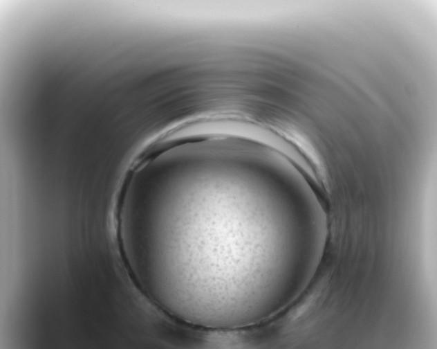 X0000089460944200706221303