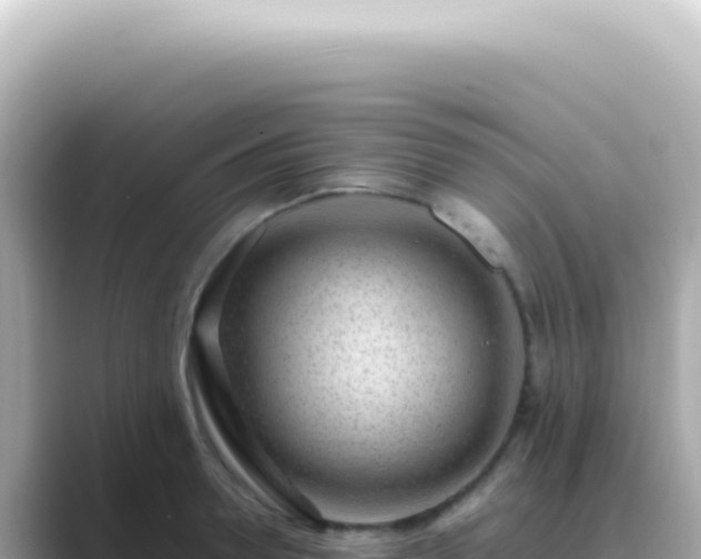 X0000089460946200706221303