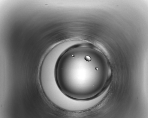 X0000089460948200706221303