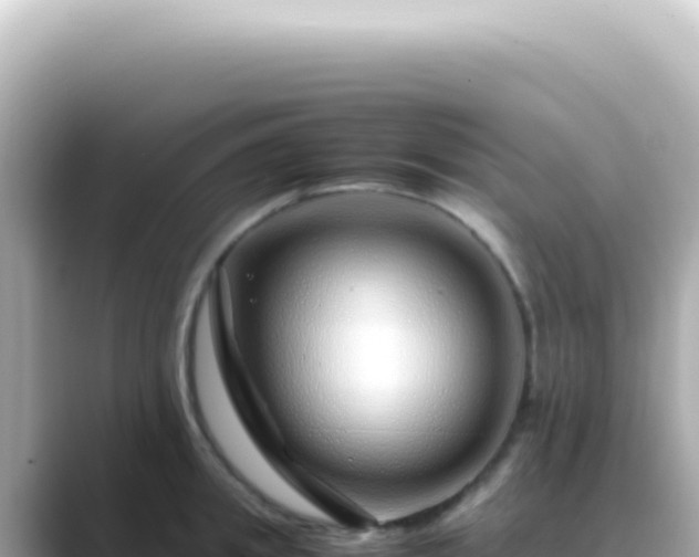 X0000089460949200706221303