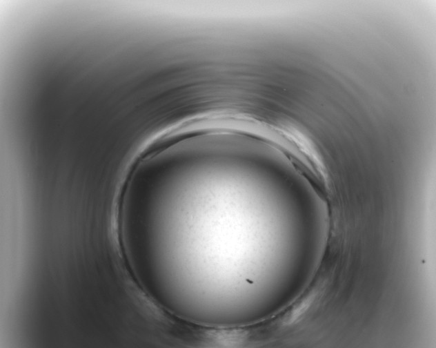 X0000089460952200706221303