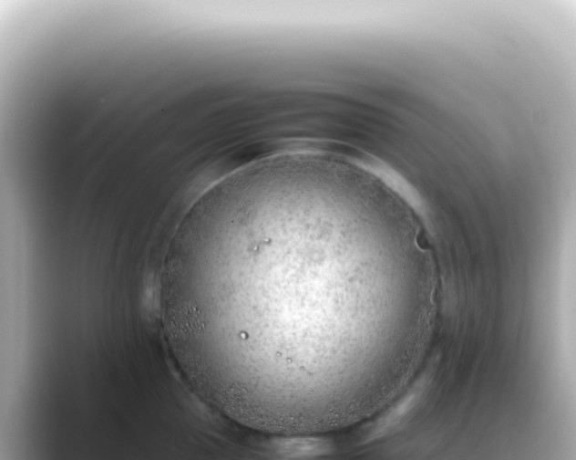 X0000089460953200706221303