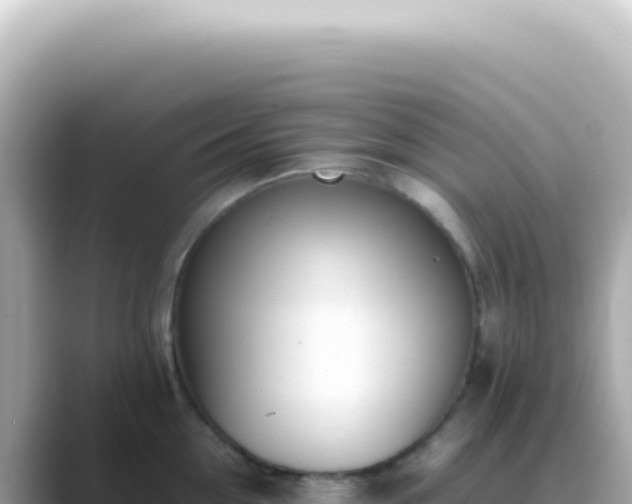 X0000089460954200706221303