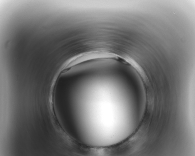 X0000089460956200706221303