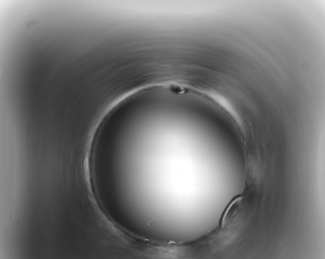 X0000089460959200706221303