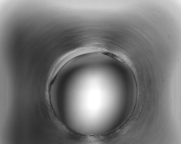 X0000089460960200706221303