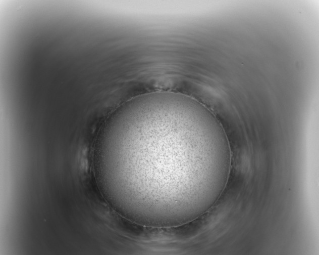 X0000089460962200706221302