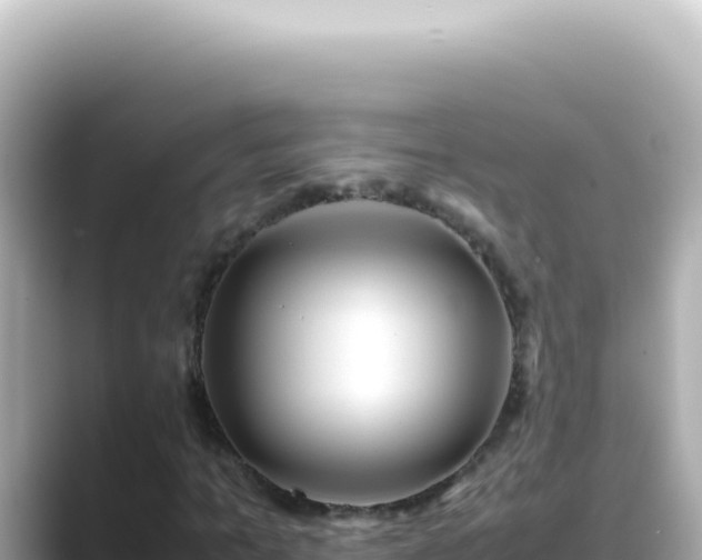 X0000089460965200706221302