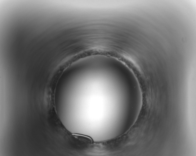 X0000089460968200706221302