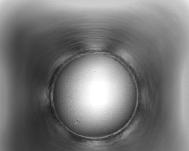 X0000089460970200706221302