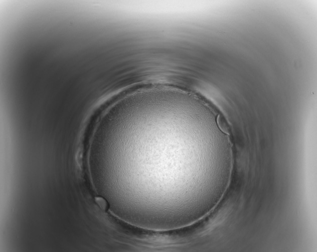 X0000089460971200706221302