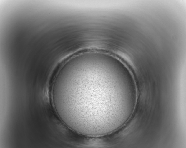 X0000089460974200706221302