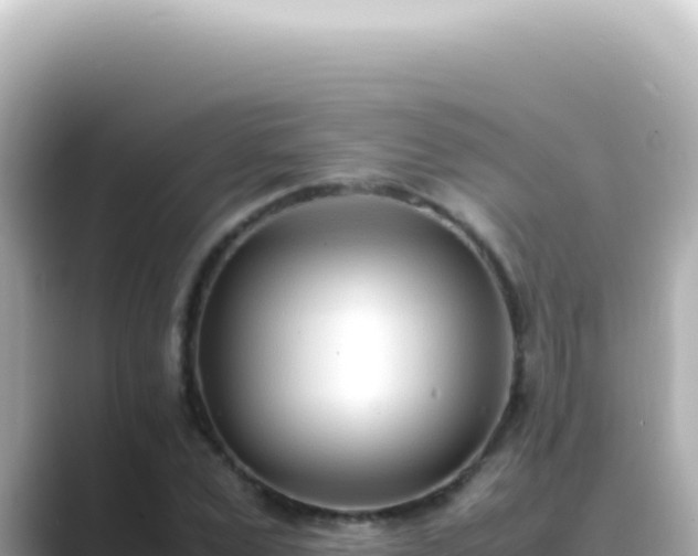 X0000089460975200706221302