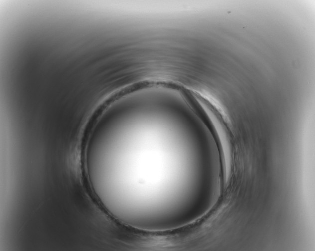 X0000089460976200706221302