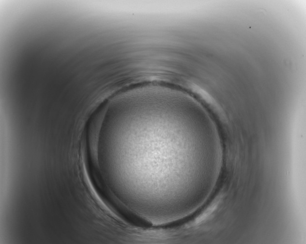 X0000089460977200706221302