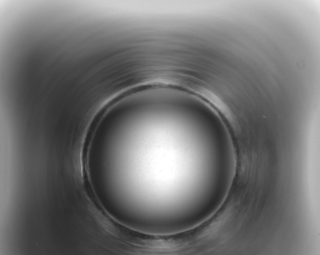 X0000089460980200706221302